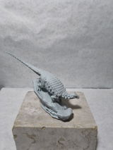 B.M. review photo