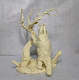 B.M. review photo