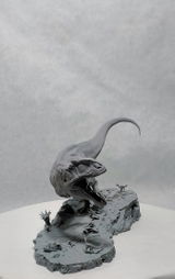 B.M. review photo