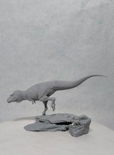 B.M. review photo