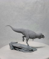 B.M. review photo