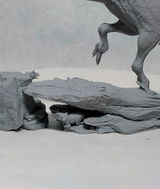 B.M. review photo