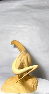 B.M. review photo