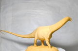 B.M. review photo