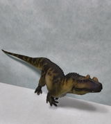 B.M. review photo