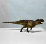 B.M. review photo