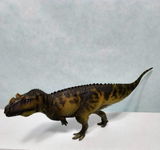 B.M. review photo