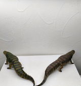 B.M. review photo