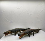B.M. review photo