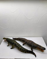 B.M. review photo