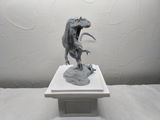 B.M. review photo