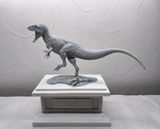 B.M. review photo