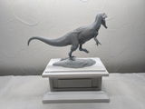 B.M. review photo