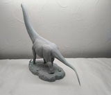 B.M. review photo