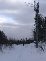 Justin Desrosiers review photo