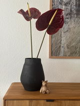 Anke Genuit review photo