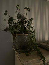 Merete Johannessen review photo