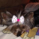 Etsy customer review photo