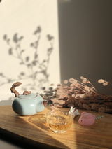 Han Kyung Oh review photo