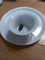 득칠 김 review photo