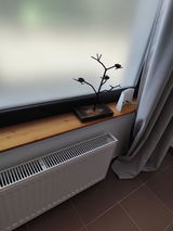 Halina review photo