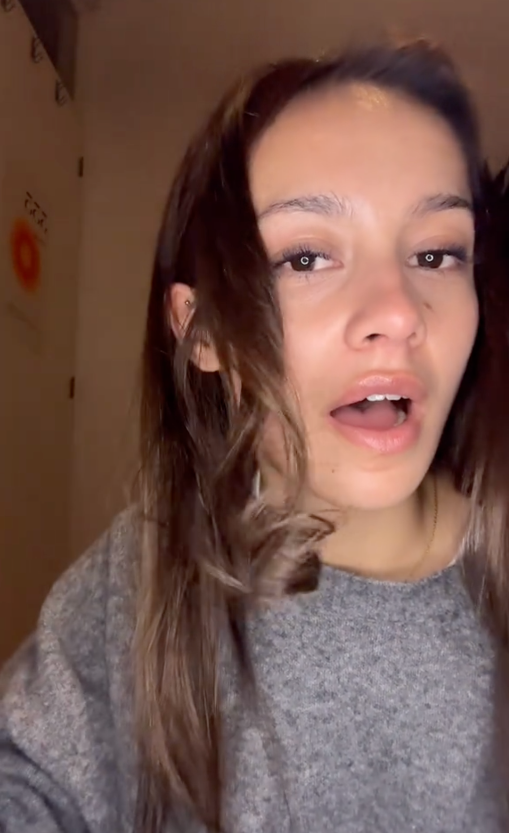 Largolash® Multistyler Roze - Föhnborstel
