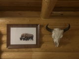 R.a.M. review photo