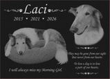Laci review photo