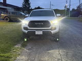 User picture