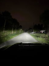 Larry Pino review photo