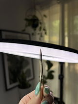 N.T. review photo