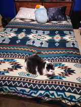 Devan S review photo