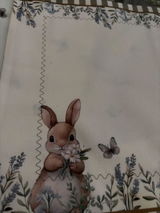 Denisse review photo