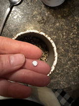Lacey Cheatum review photo