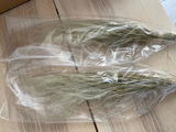 Ttoka Lubowitz review photo