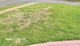 N. review photo