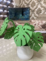 Photo from Aruna's review