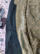 Renu review photo
