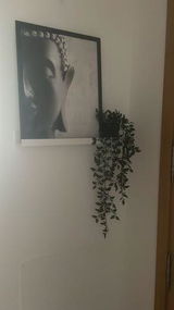 C***o review photo