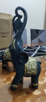 R***a review photo