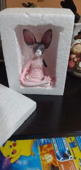 J***a review photo