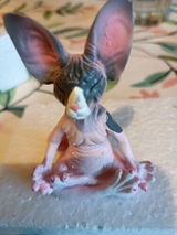 M***o review photo