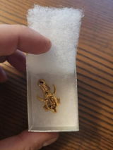 Francisco W review photo