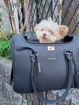 との review photo