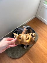 Isaline & Hades review photo