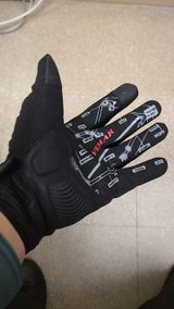 Renard N. review photo