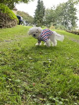 Roxy review photo