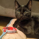Etsy customer review photo