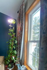 Etsy customer review photo