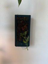 Kimberly Johnson review photo